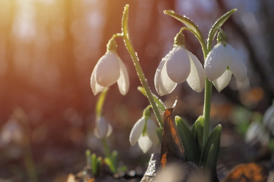 150 Jahre zurück und 40 Jahre nach in die Zukunft