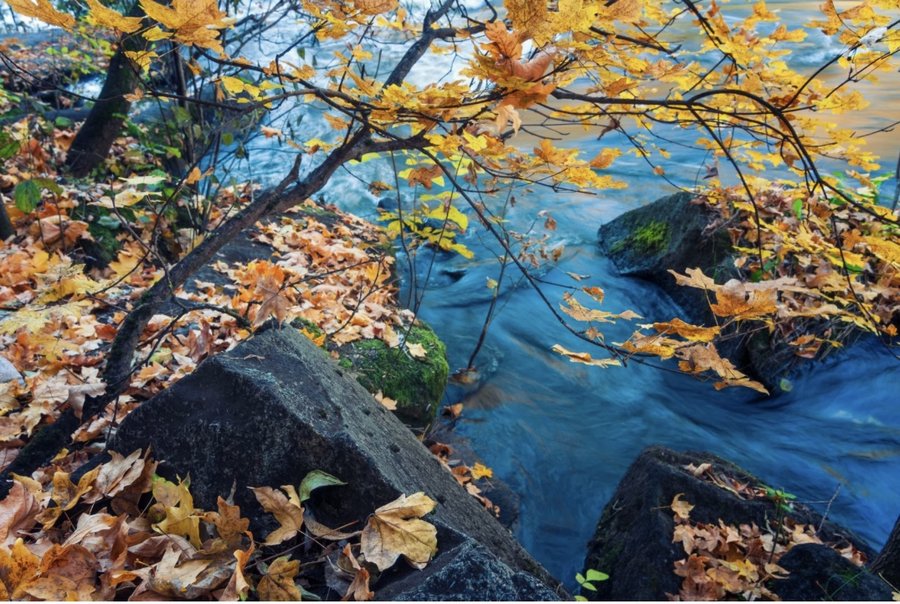 Haltung korrigieren!!! - Oder doch nicht?