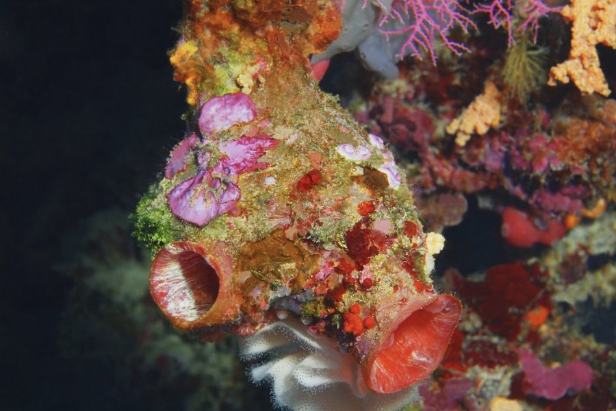 Wo das Ich entsteht – und warum das alles verändert